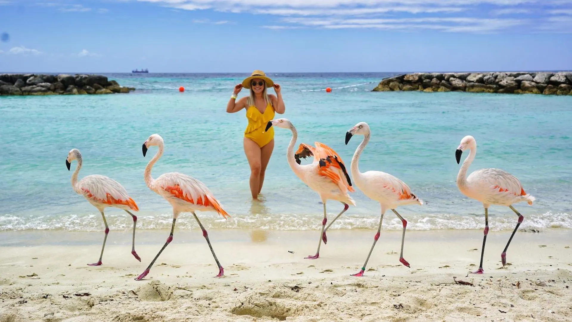 Tanki Leendert 43K Oranjestad 0*,  Aruba